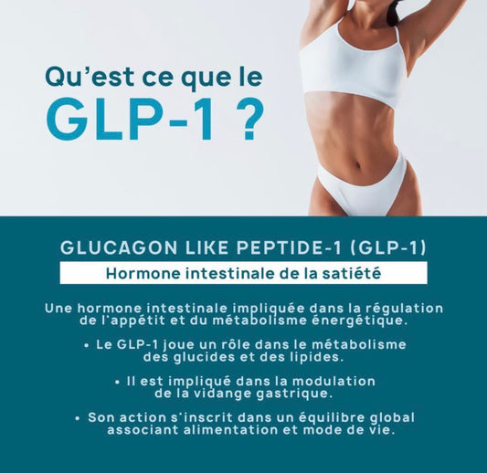 GlycéPlex-1 - Burner & Satiety
