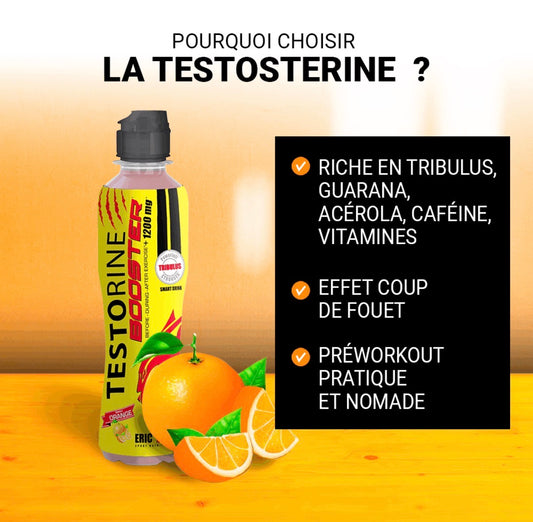 Boisson testorine Orange 500ml