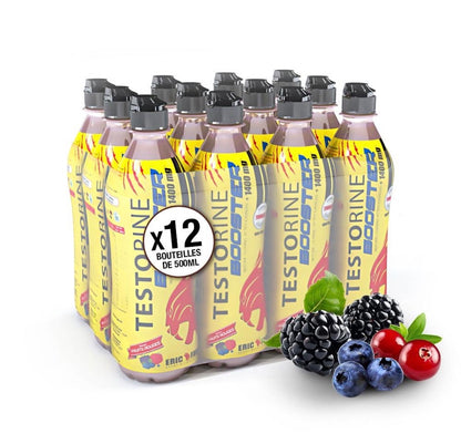 Boisson testorine Fruits rouges 500ml