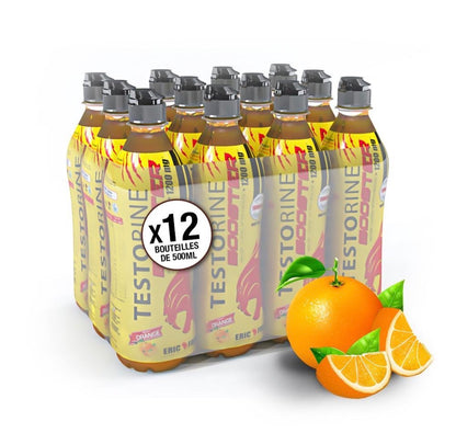 Boisson testorine Orange 500ml