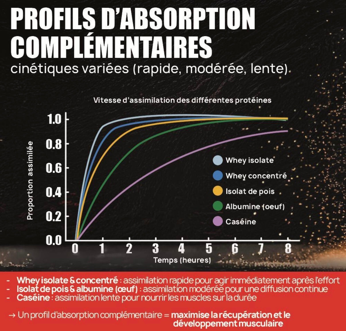 Iso Fusion Biscuit Cookie 750g