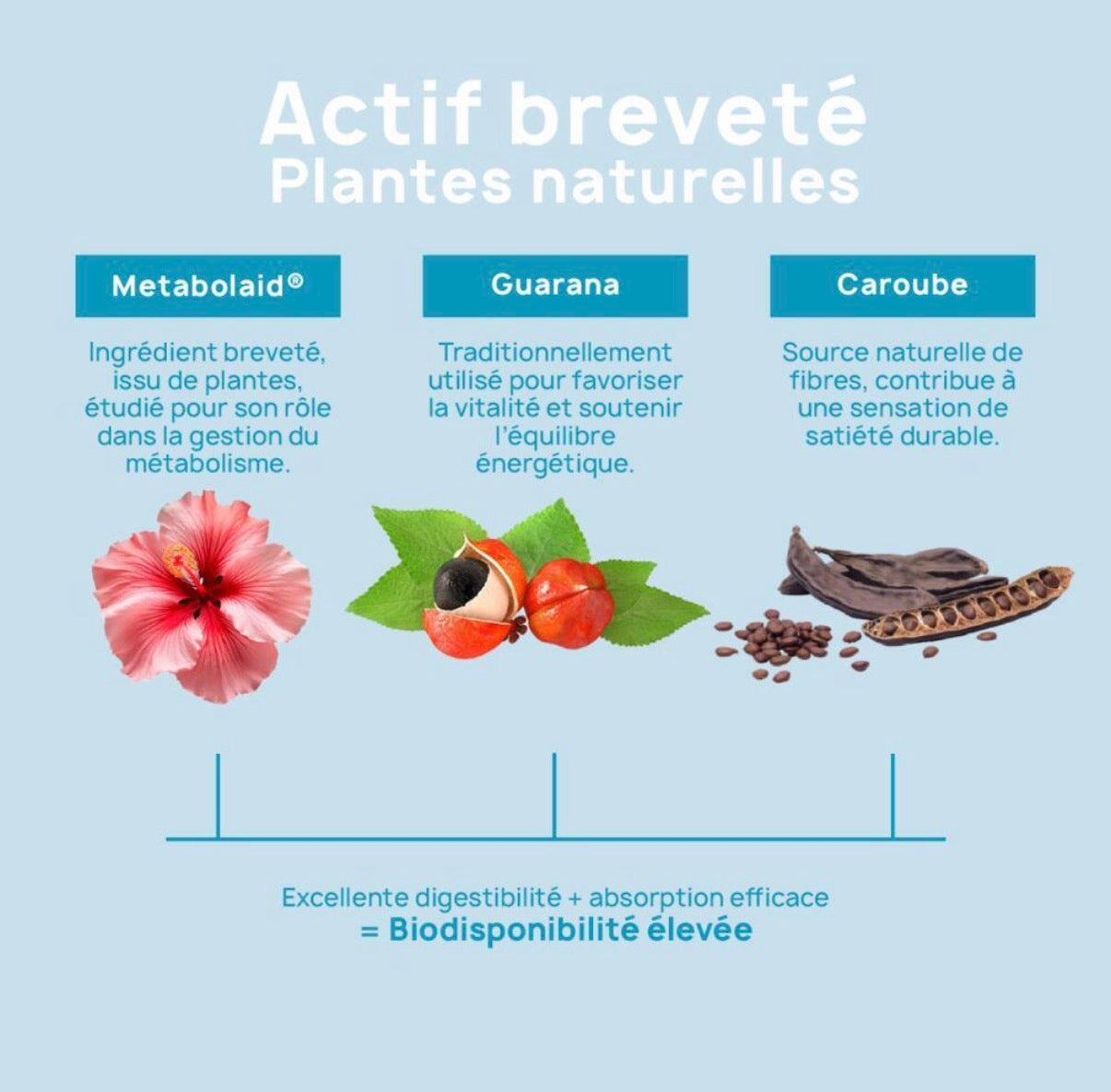 GlycéPlex-1 - Burner & Satiety