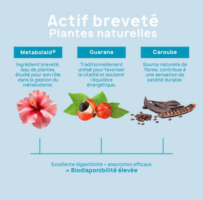 GlycéPlex-1 - Burner & Satiety