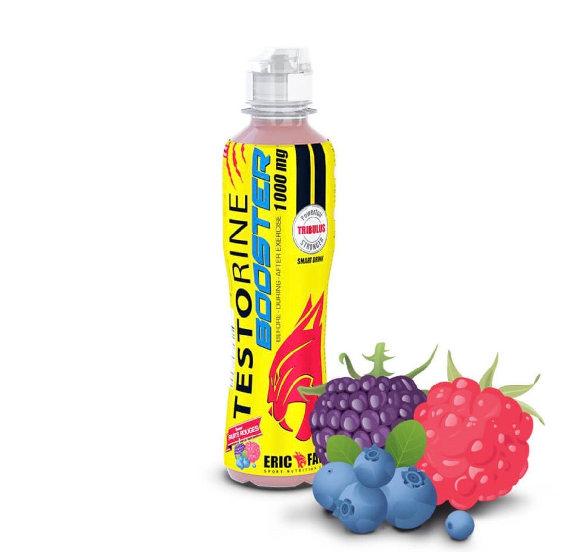 Boisson testorine Fruits rouges 500ml