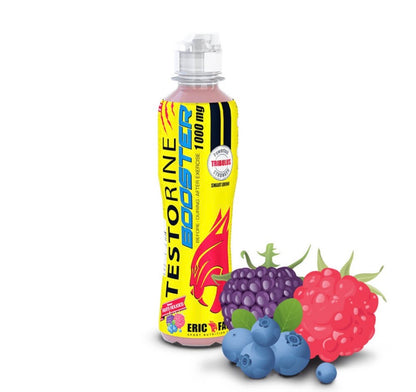 Boisson testorine Fruits rouges 500ml