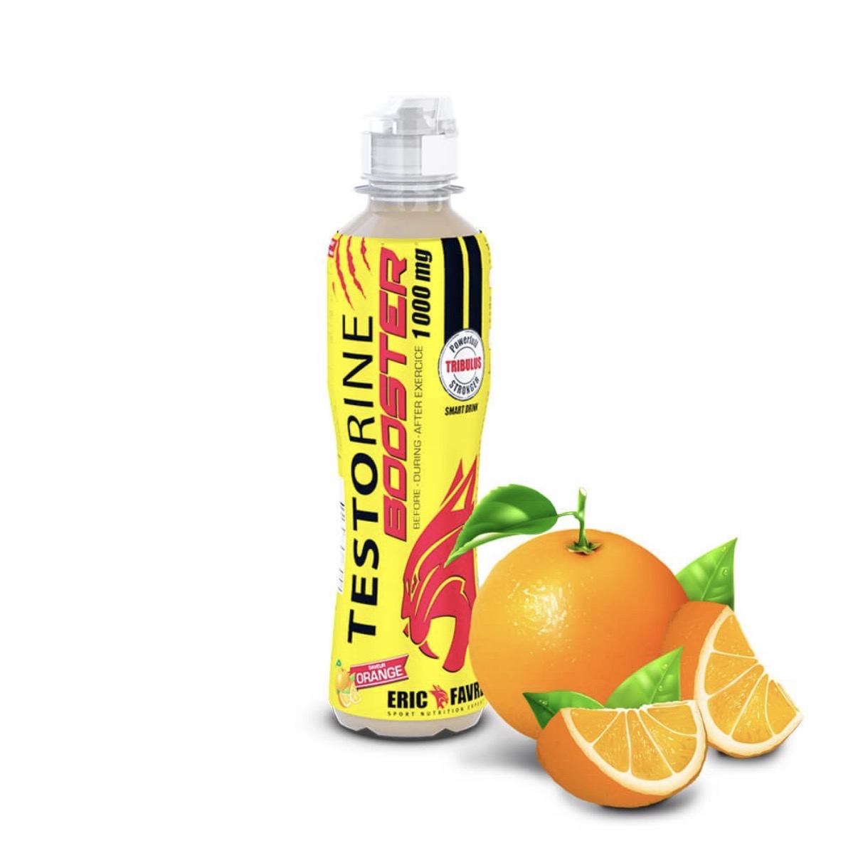Boisson testorine Orange 500ml