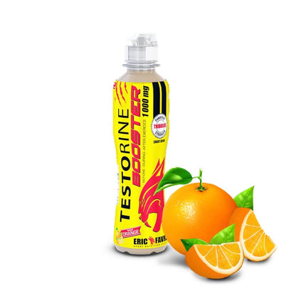 Boisson testorine Orange 500ml